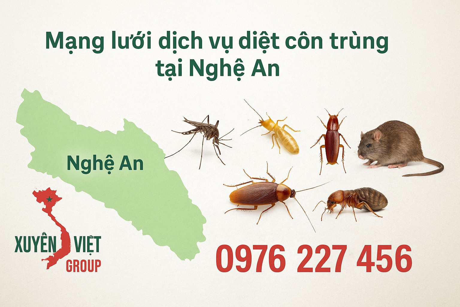 Dịch vụ diệt côn trùng tại Nghệ An - 0976 227 456