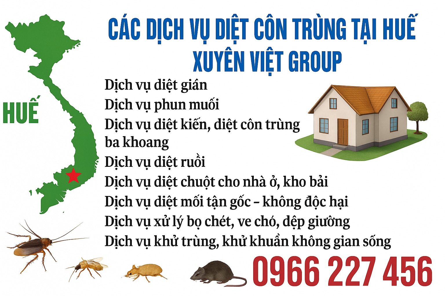 Bảng dịch vụ diệt muỗi, gián, chuột, mối tại Huế – Xuyên Việt Group uy tín, giá tốt
