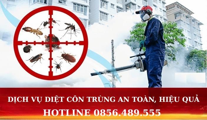 Khi nào nên gọi dịch vụ diệt côn trùng