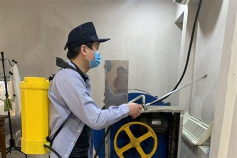 Dịch vụ diệt côn trùng tại Lào Cai - 0976 227 456