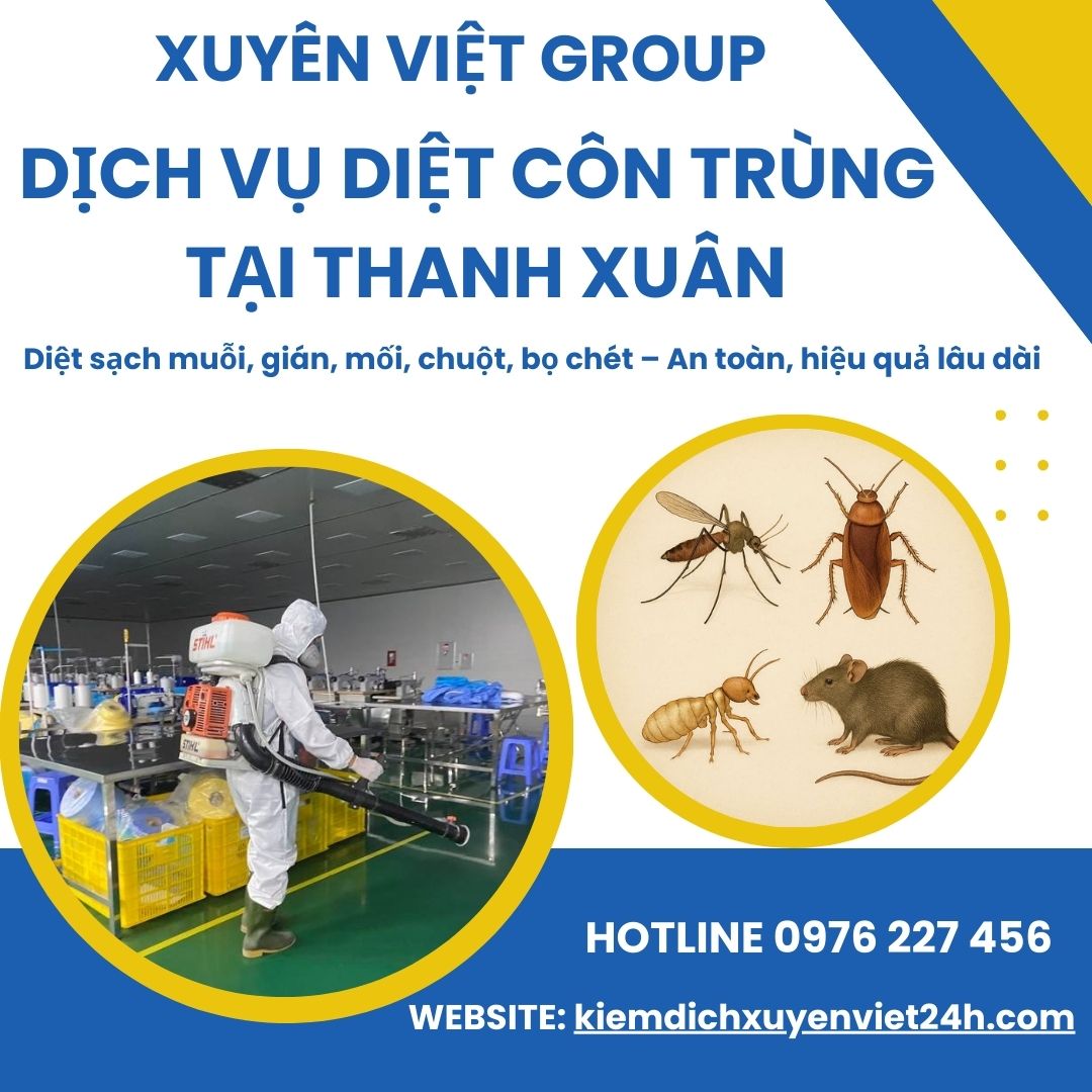 Xuyên Việt Group – Dịch vụ diệt côn trùng tại Thanh Xuân, an toàn và hiệu quả!