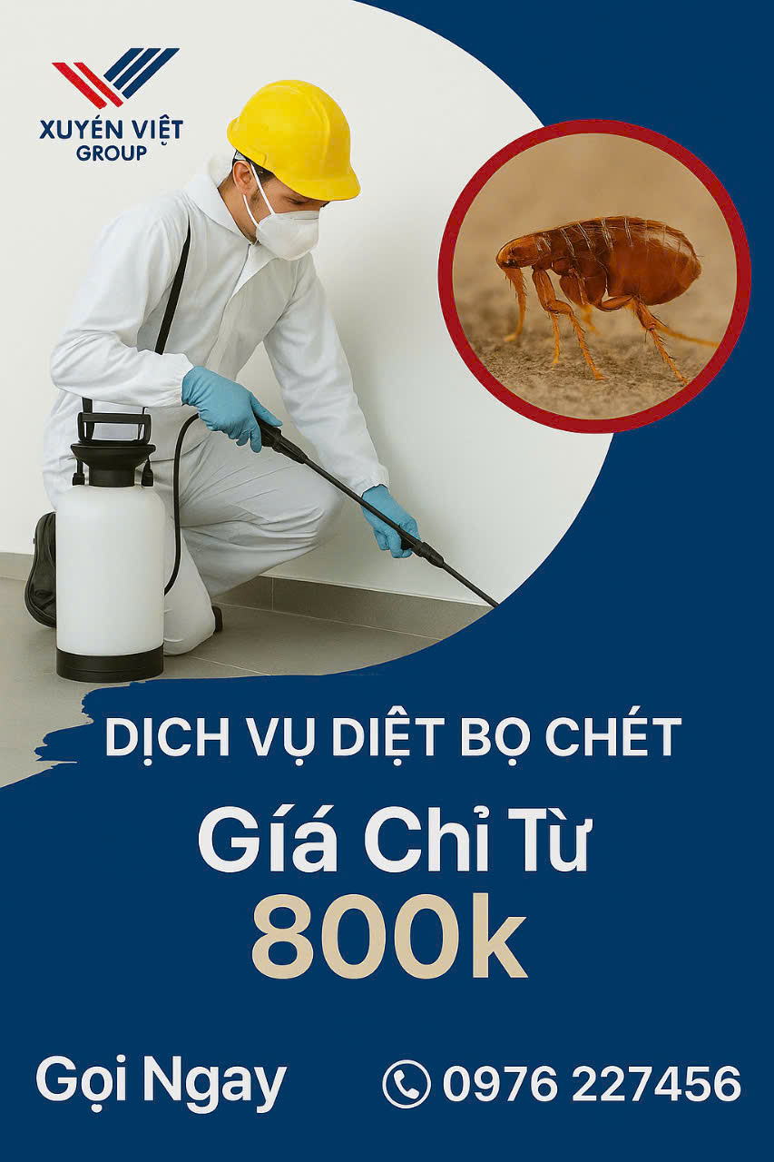 Dịch vụ diệt bọ chét quận Hoàn Kiếm – Xử lý triệt để, bảo hành lâu dài!
