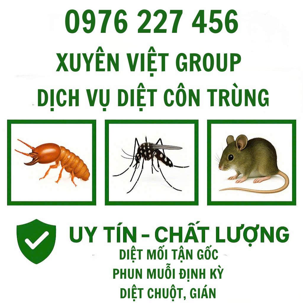 Xuyên Việt Group – Dịch Vụ Kiểm Soát Côn Trùng Tại Hà Nội Uy Tín Số 1!