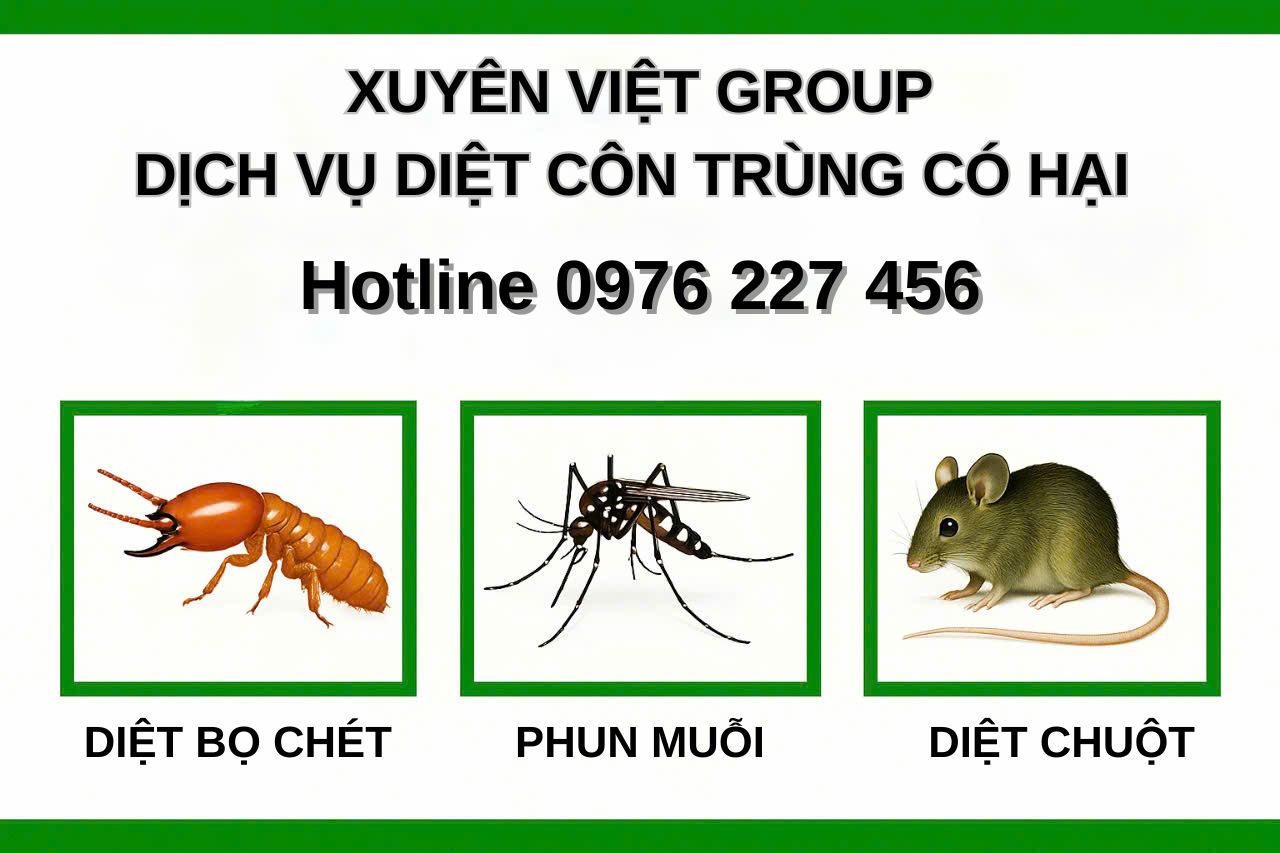 Giới thiệu về dịch vụ diệt côn trùng của công ty Xuyên Việt Group
