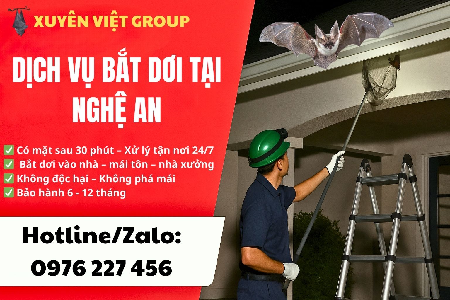 Dịch vụ bắt dơi tại Nghệ An