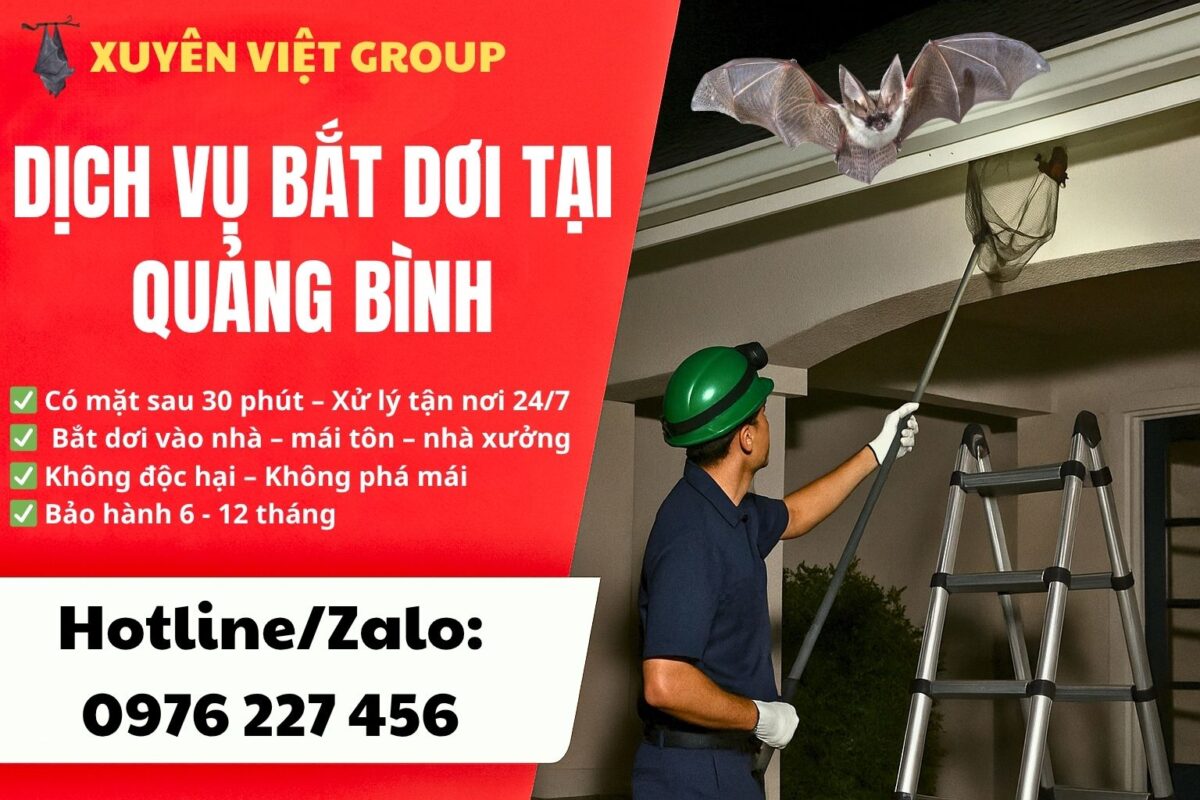 Dịch vụ bắt dơi tại Quảng Bình