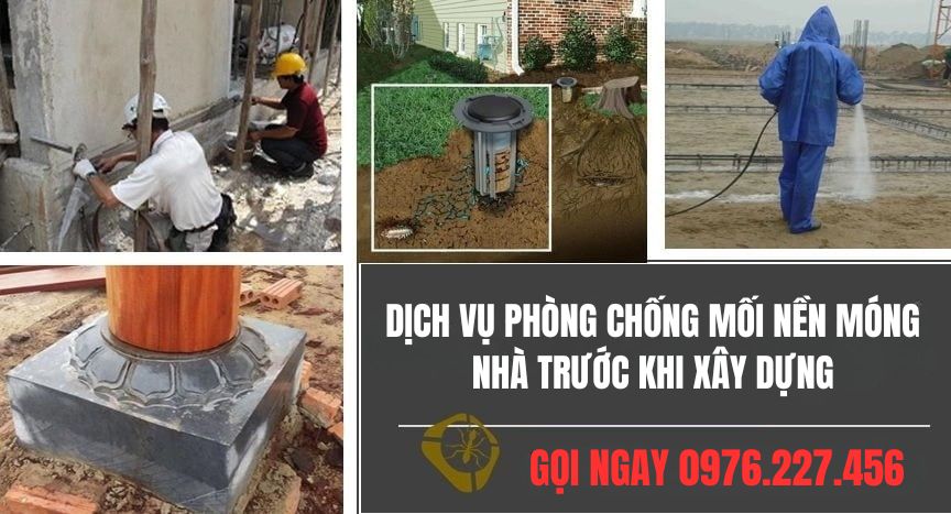 Dịch vụ chống mối nền móng nhà