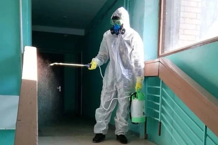 Xuyên Việt Group cung cấp dịch vụ diệt mối bằng thuốc sinh học toàn quốc