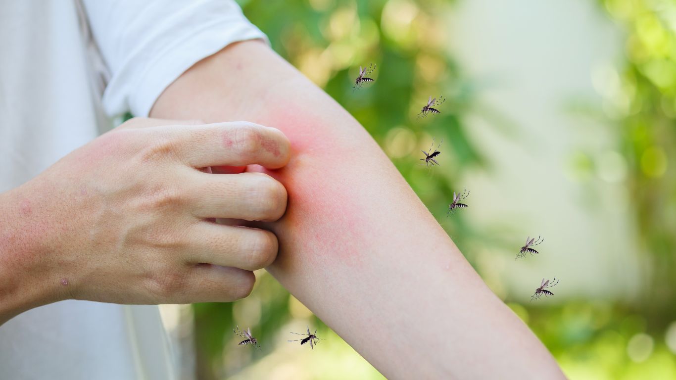 Tác hại côn trùng gây ra
