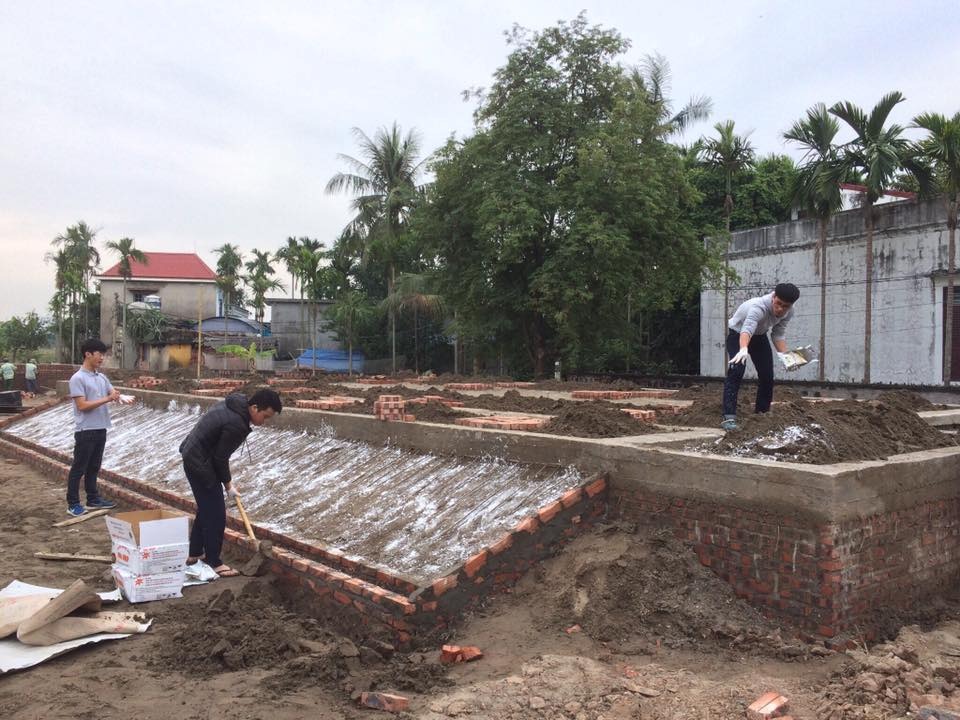 Đặt bả mối quanh móng nhà để phòng ngừa mối xâm nhập