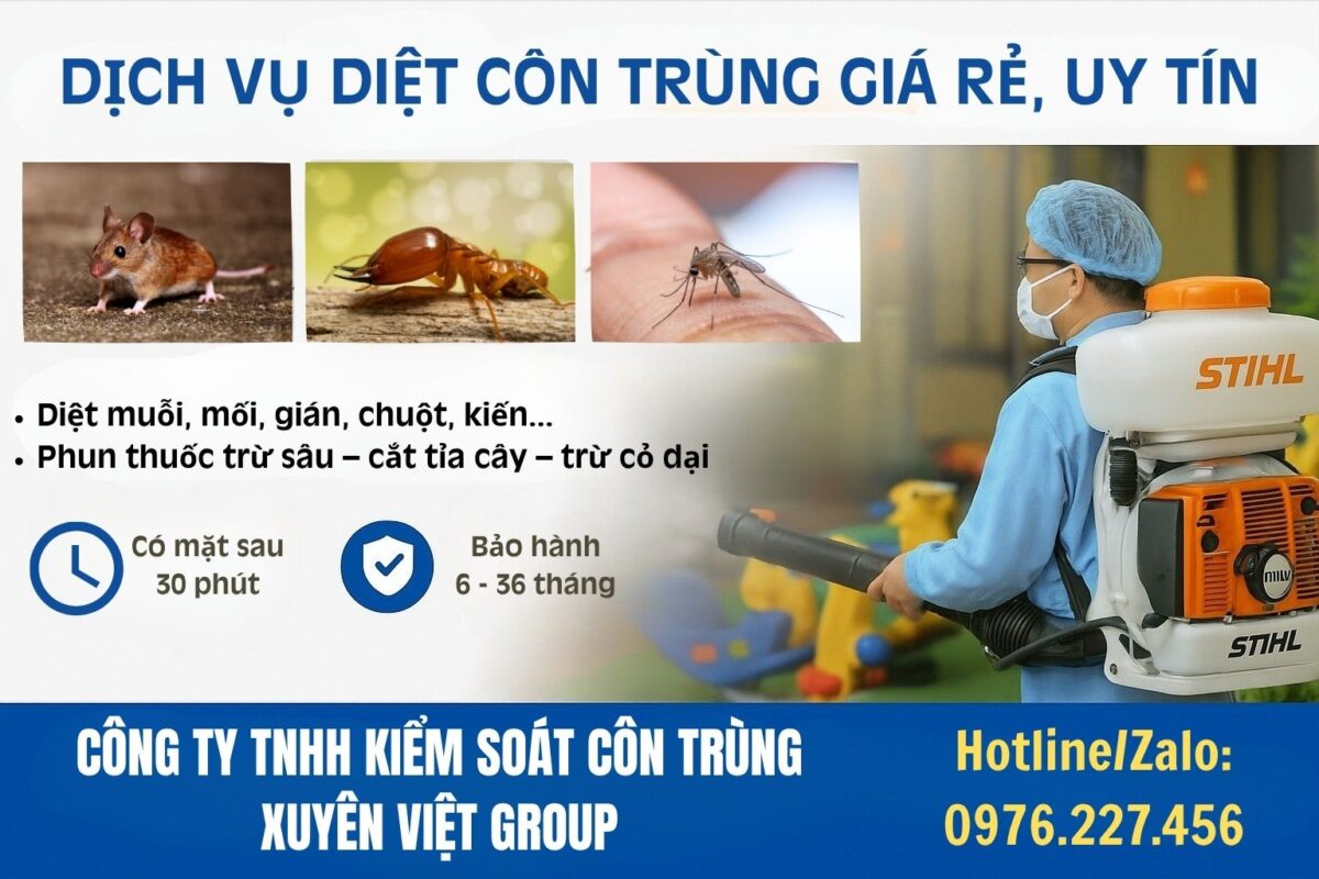 Dịch vụ diệt côn trùng