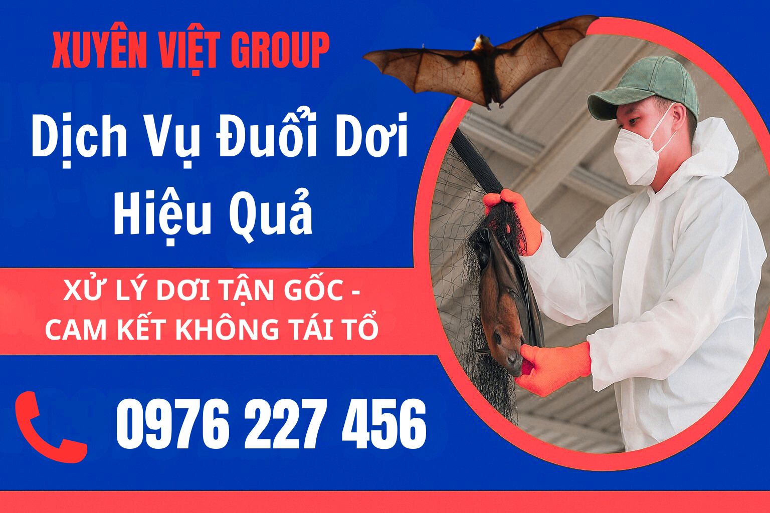 Dịch vụ đuổi dơi hiệu quả