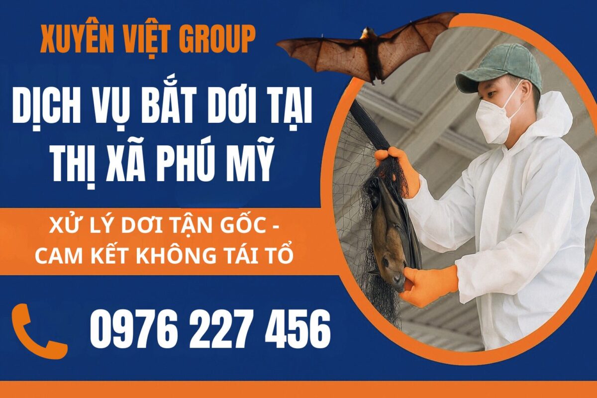 Dịch vụ bắt dơi tại Phú Mỹ