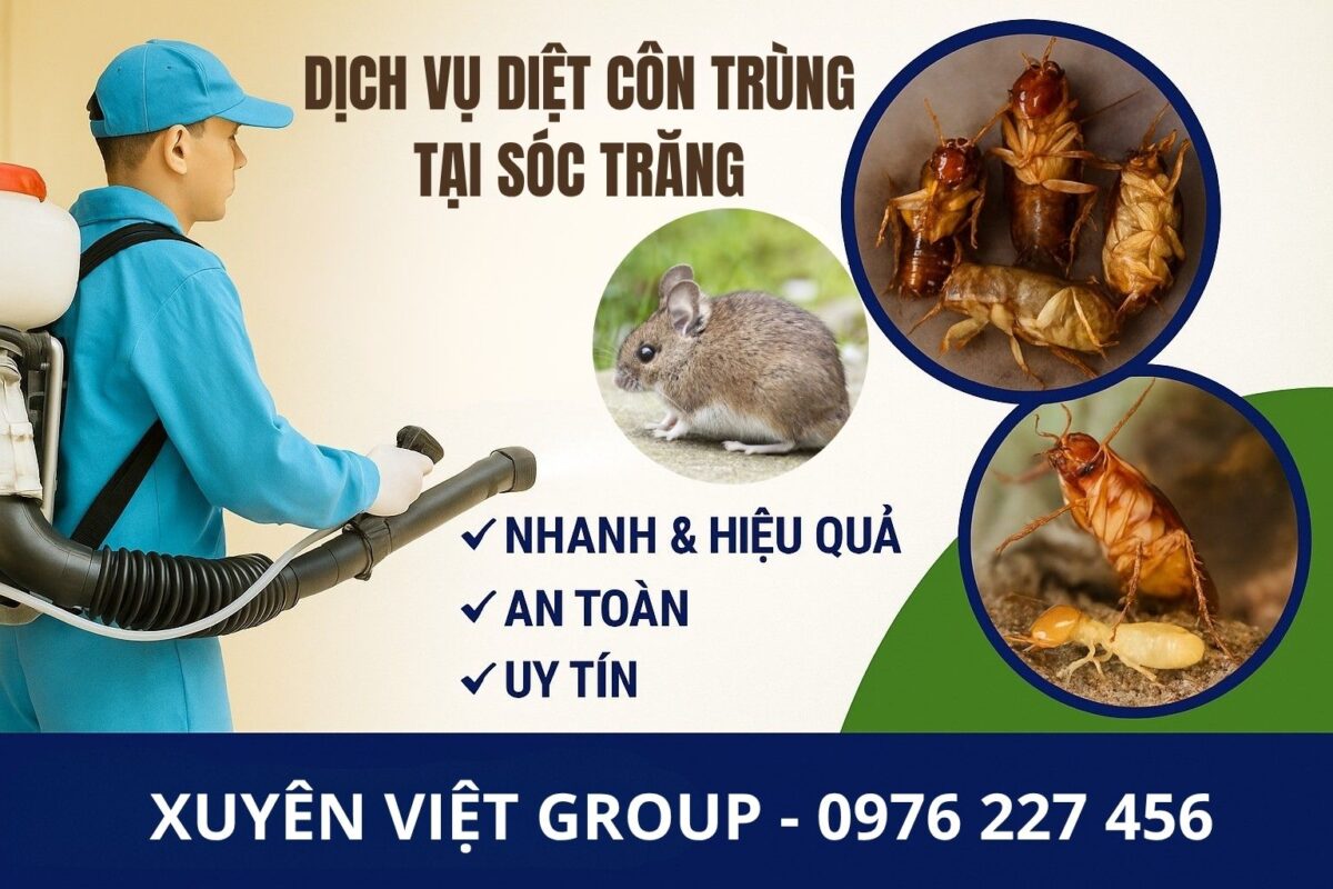 Dịch vụ diệt côn trùng tại Sóc Trăng