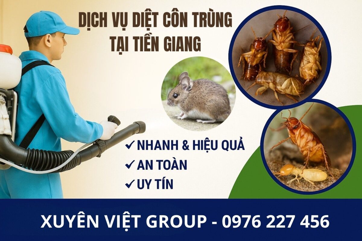 Dịch vụ diệt côn trùng tại Tiền Giang