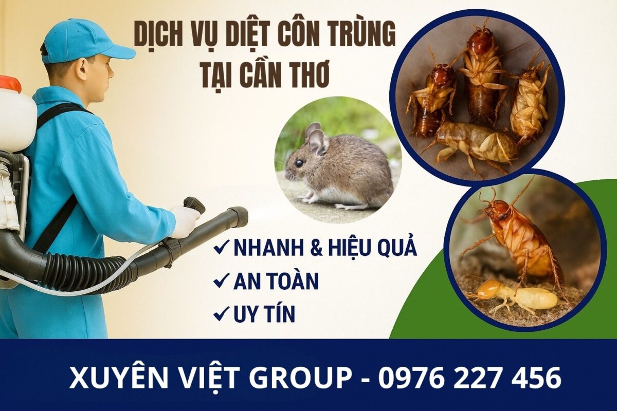 Dịch vụ diệt côn trùng tại Cần Thơ