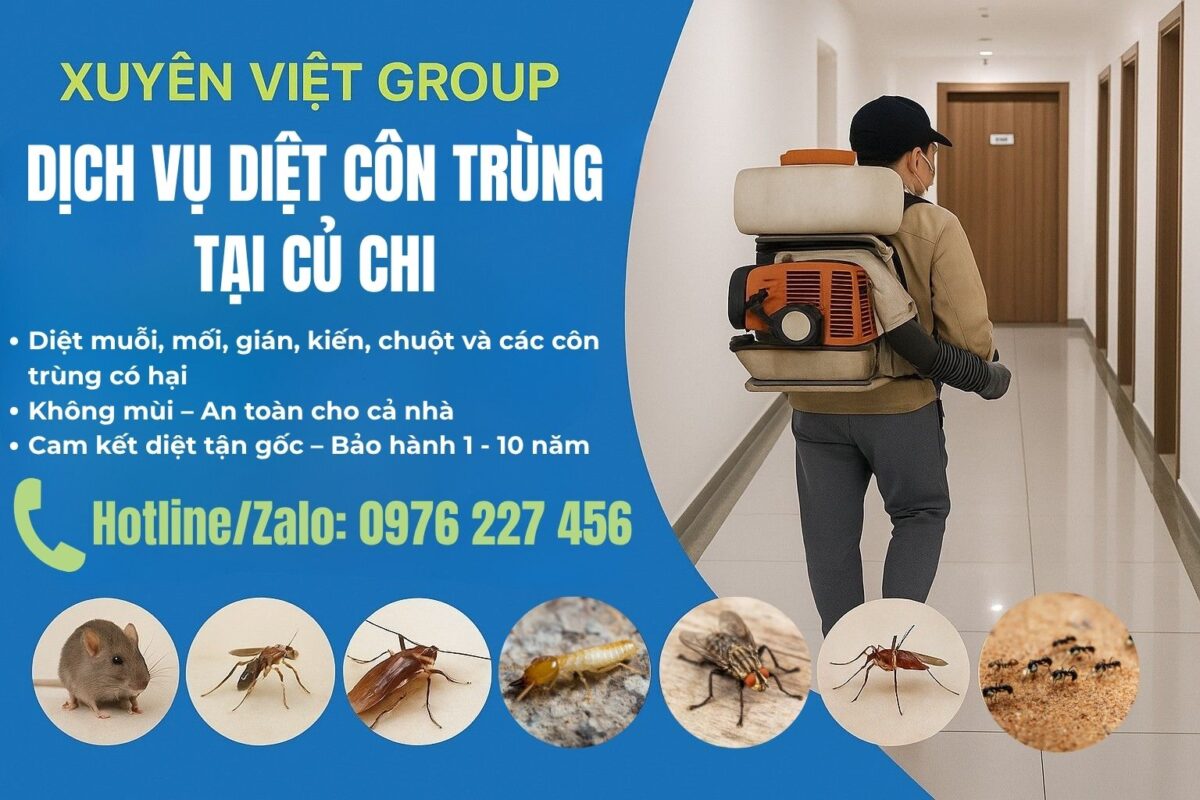 Dịch vụ diệt côn trùng tại Củ Chi
