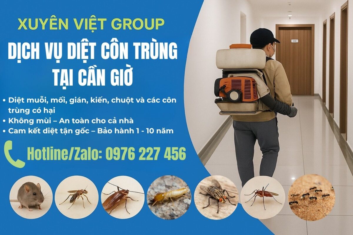 Dịch vụ diệt côn trùng tại Cần Giờ