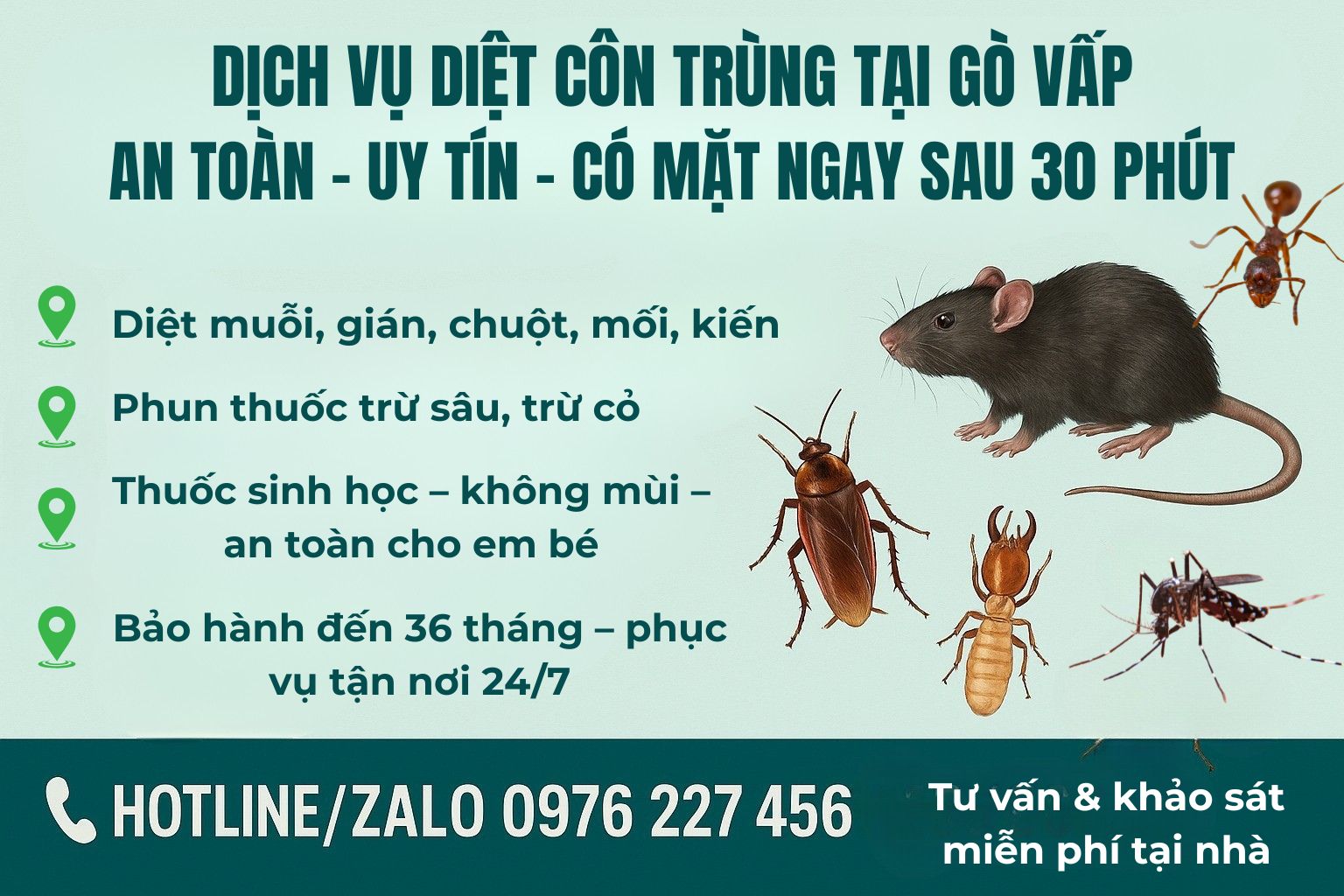 Xuyên Việt Group – Dịch vụ diệt côn trùng quận Gò Vấp uy tín, bảo hành dài lâu