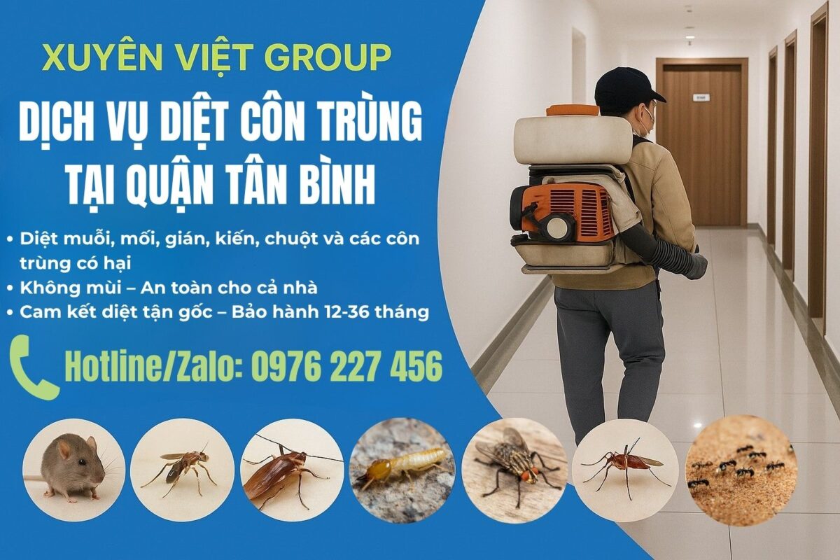 Dịch vụ diệt côn trùng quận Tân Bình