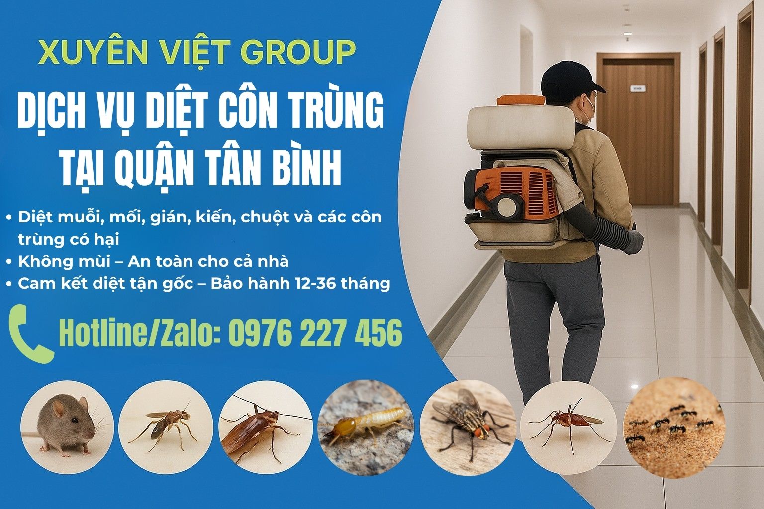 Dịch vụ diệt côn trùng quận Tân Bình