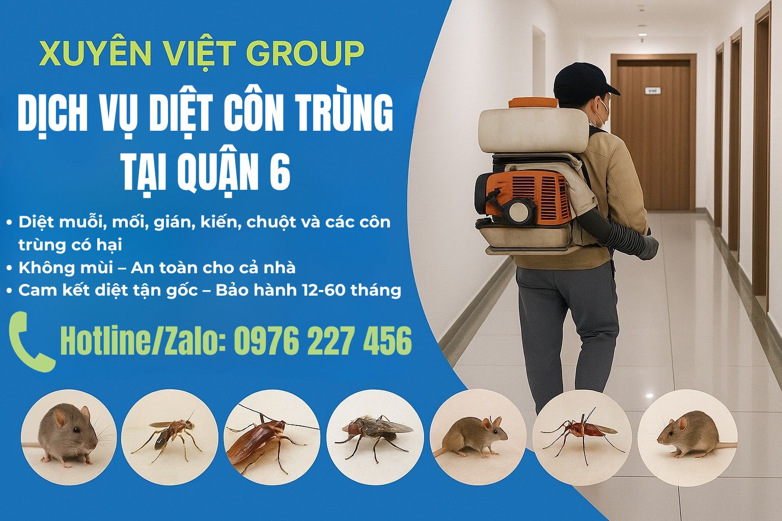 Dịch vụ diệt côn trùng tại Quận 6