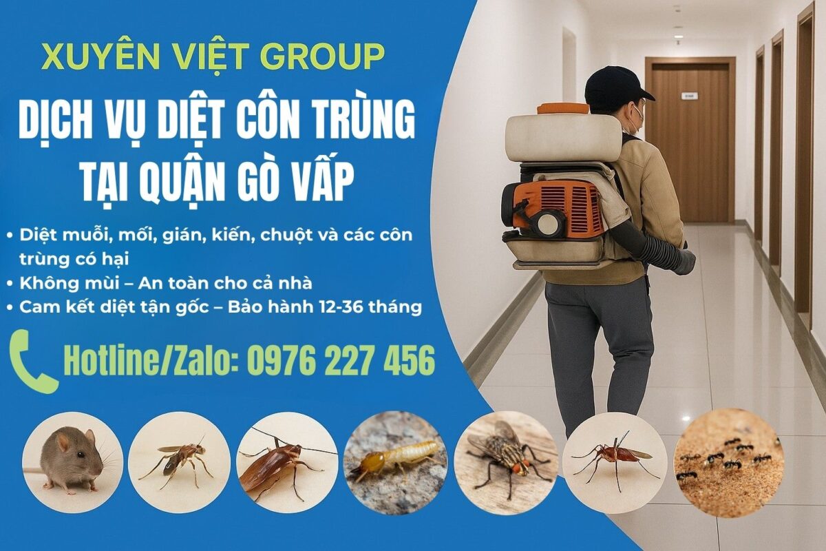 Dịch vụ diệt côn trùng quận Gò Vấp