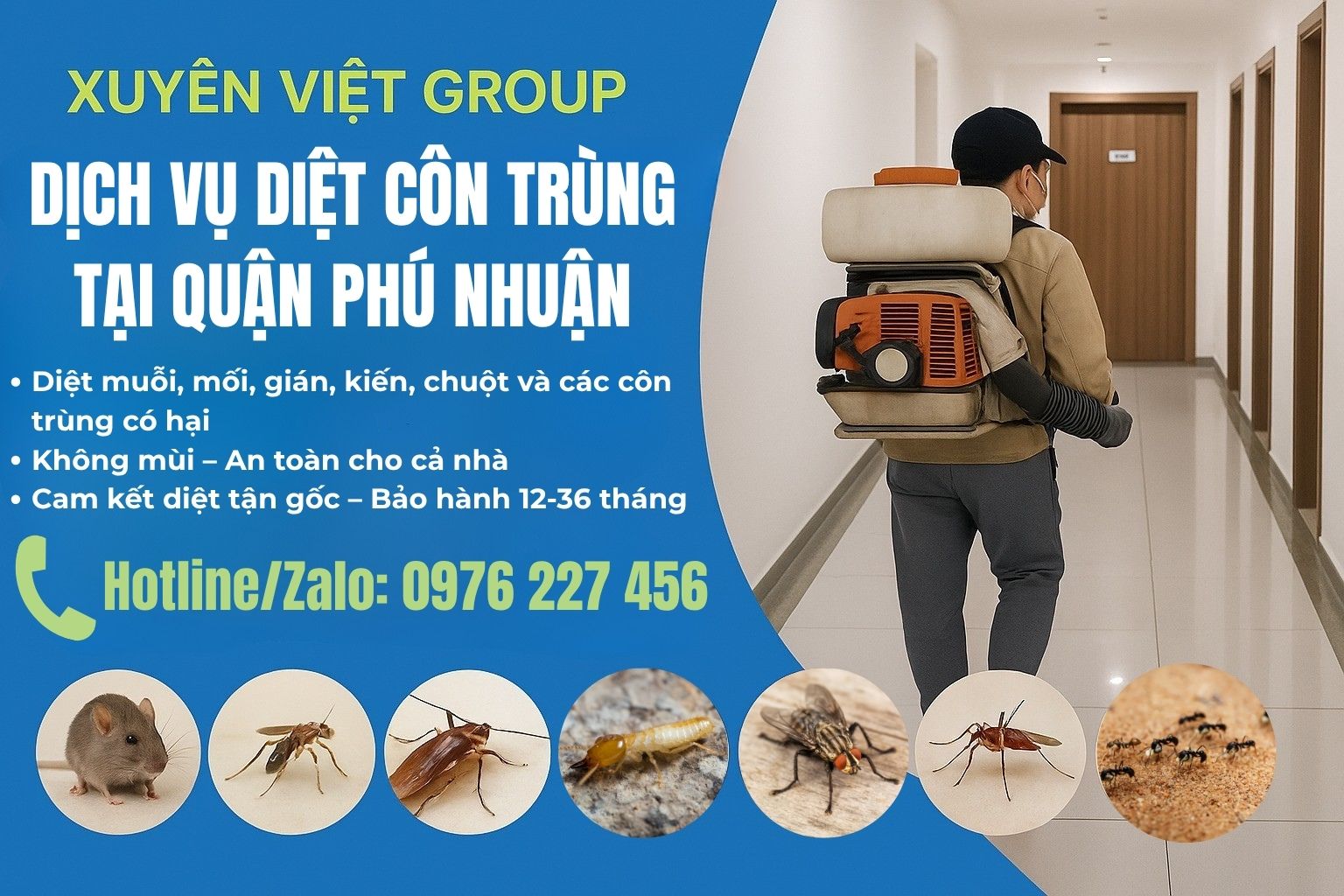 Dịch vụ diệt côn trùng quận Phú Nhuận