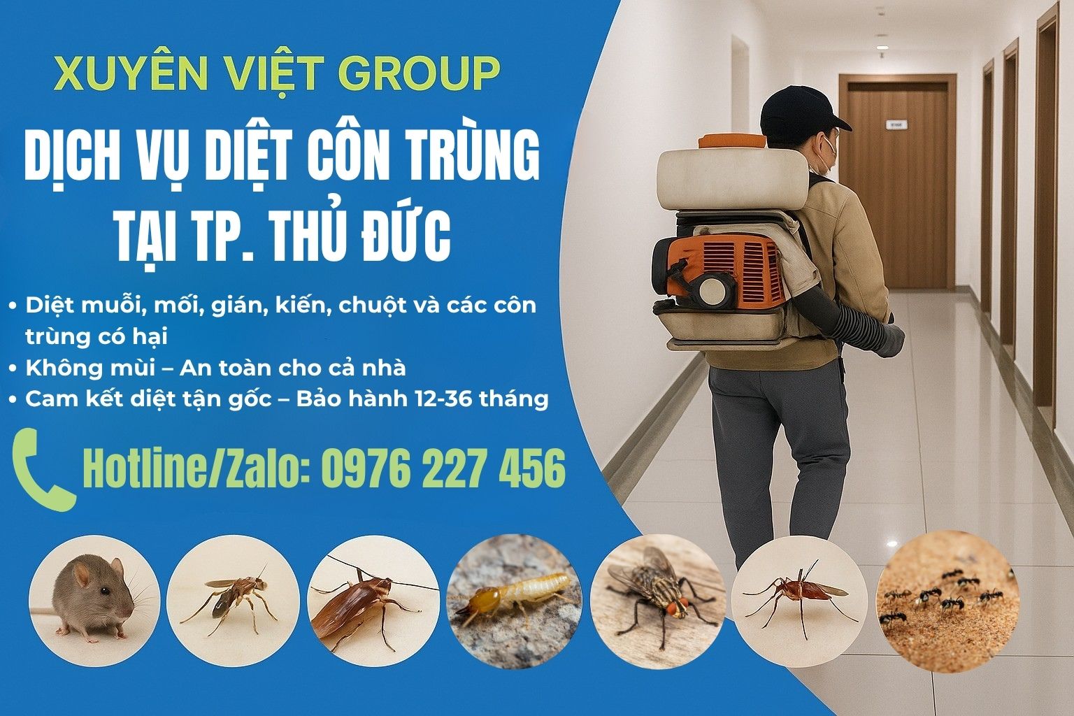 Dịch vụ diệt côn trùng tại Thủ Đức