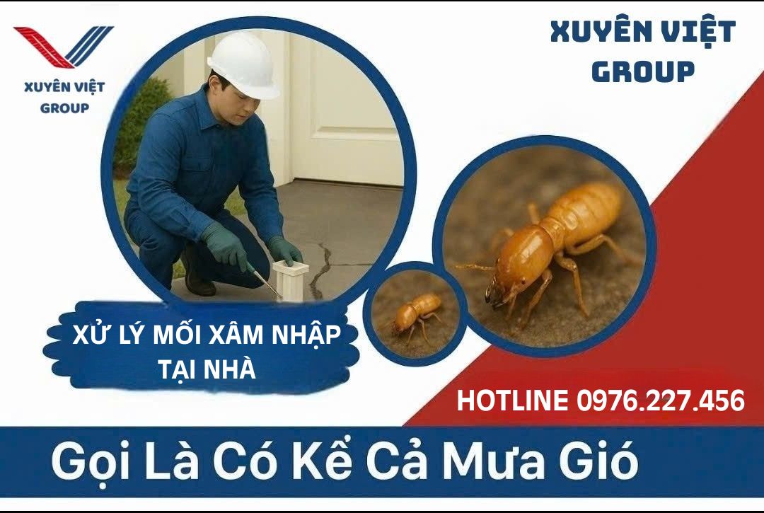 Xử lý mối xâm nhập