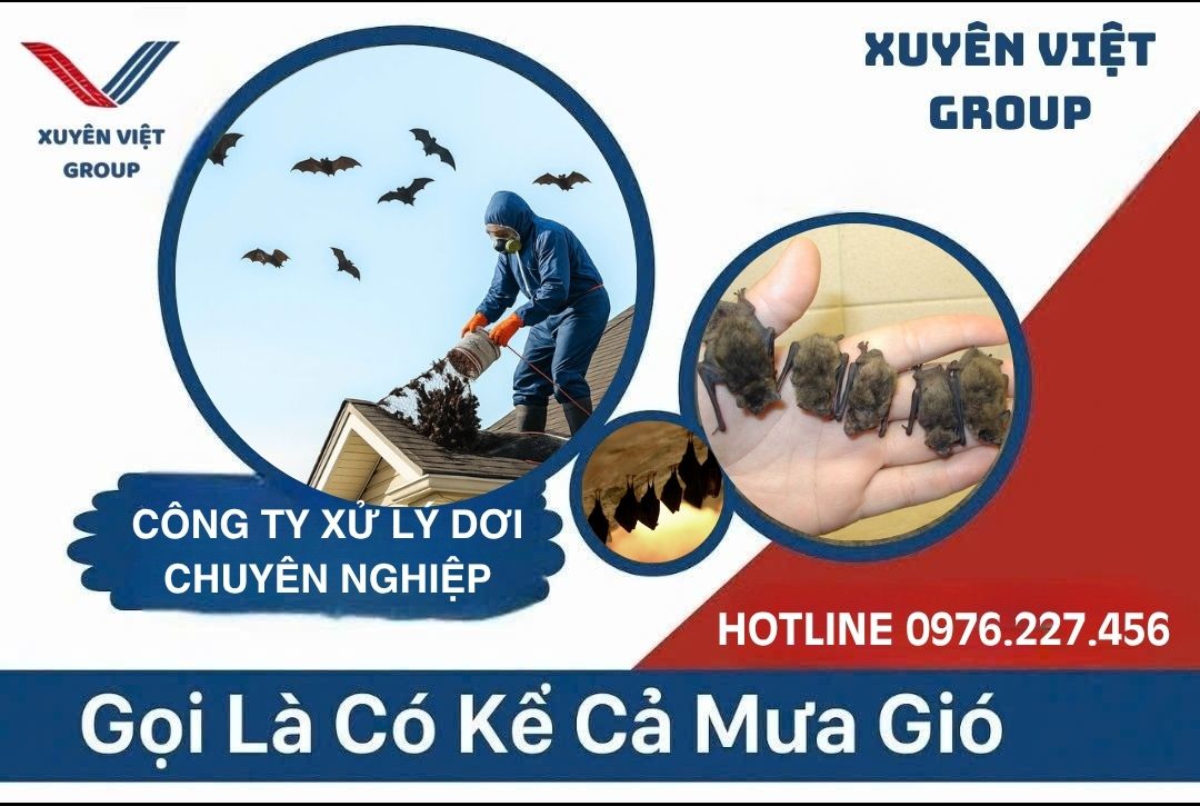 Công ty xử lý dơi