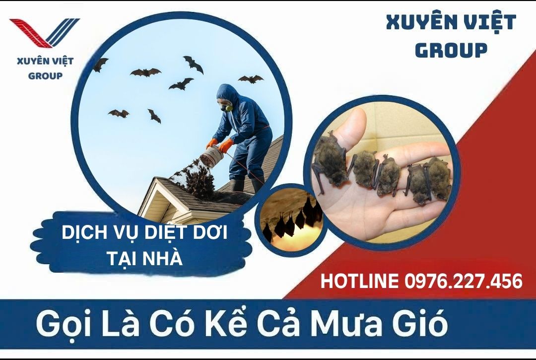 Dịch vụ diệt dơi tại nhà