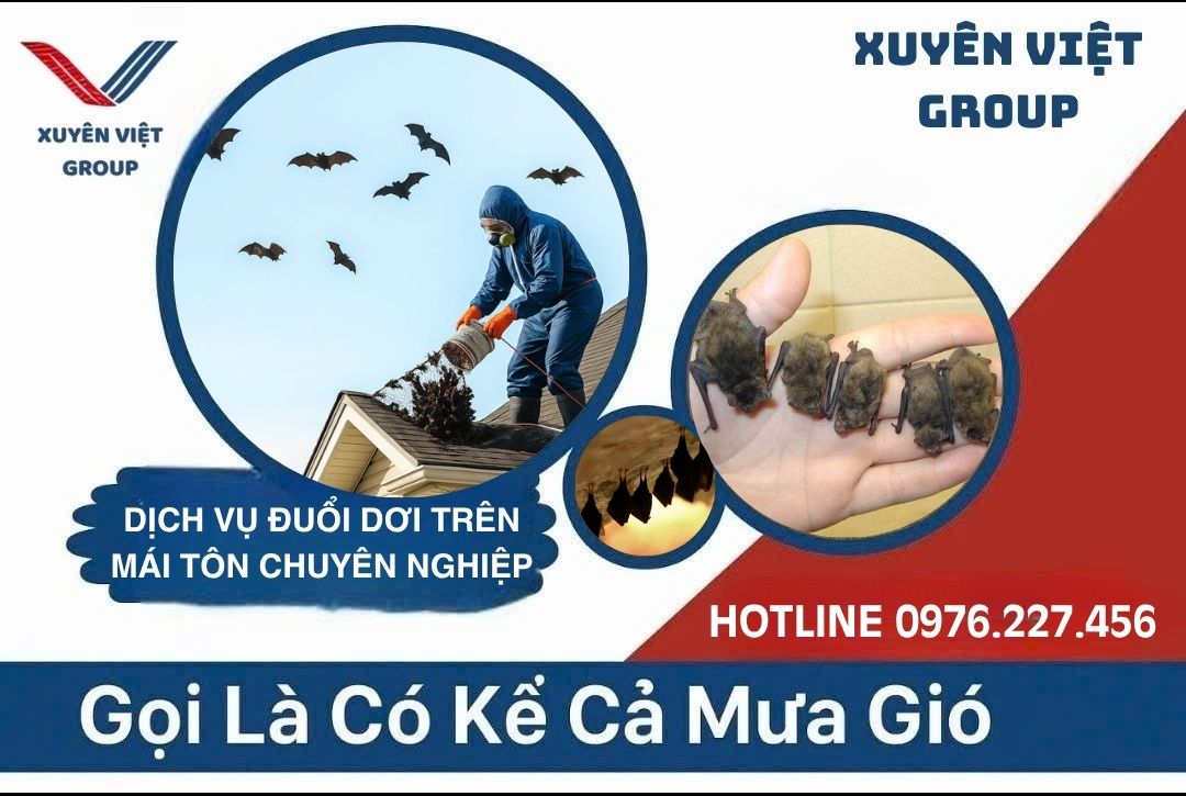 Diệt dơi trong mái tôn