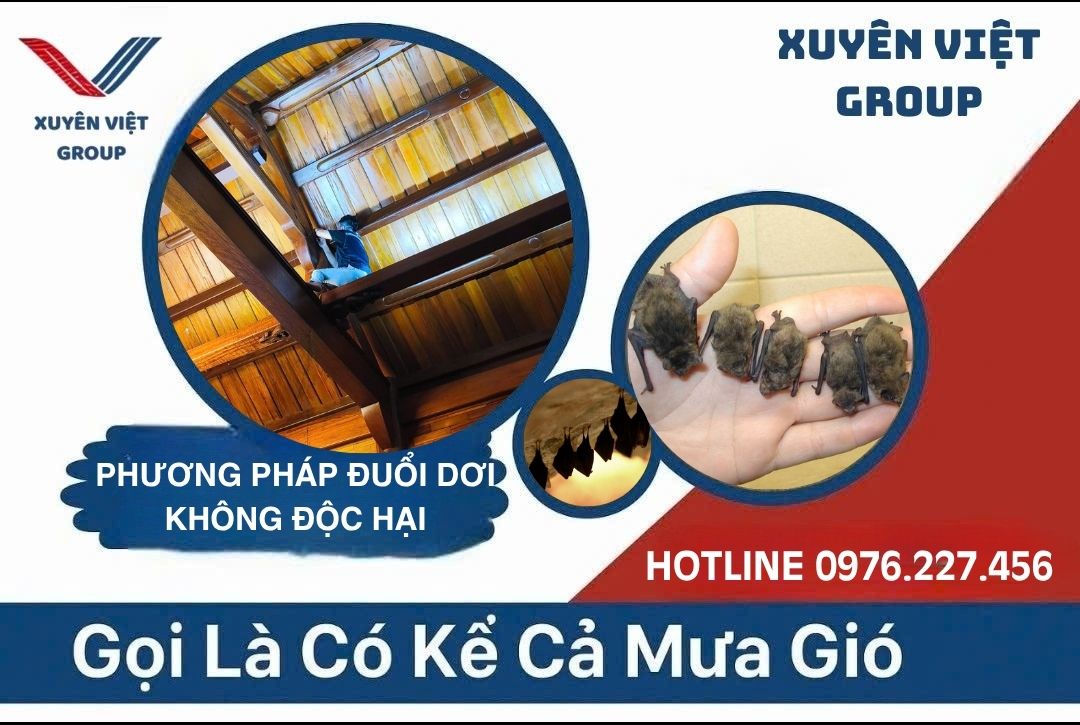 Đuổi dơi không độc hại