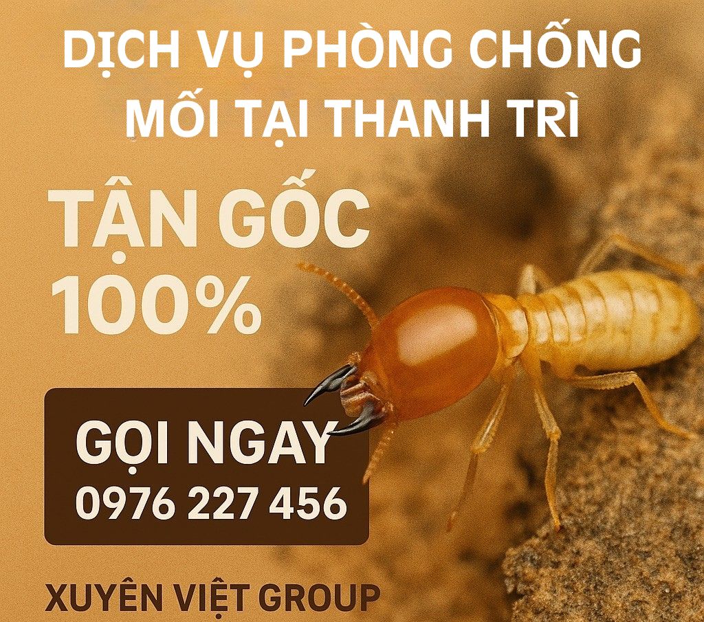 Xuyên Việt Group – Cam kết phòng chống mối tận gốc tại Thanh Trì, an toàn và hiệu quả!