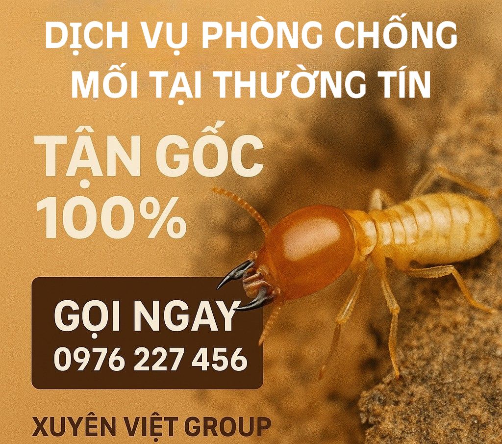 Cam kết phòng chống mối hiệu quả 100% tại Thường Tín bởi Xuyên Việt