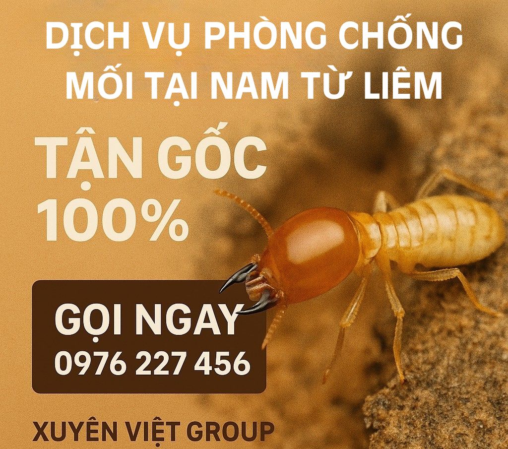 Dịch vụ phòng chống mối tại Nam Từ Liêm bảo hành 3 đến 10 năm