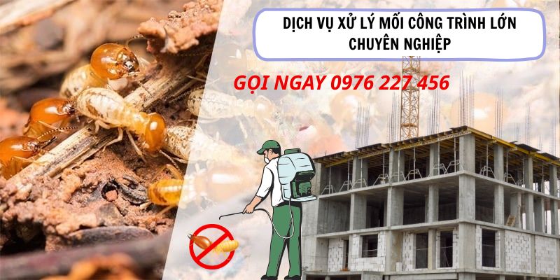 Dịch vụ xử lý mối công trình lớn