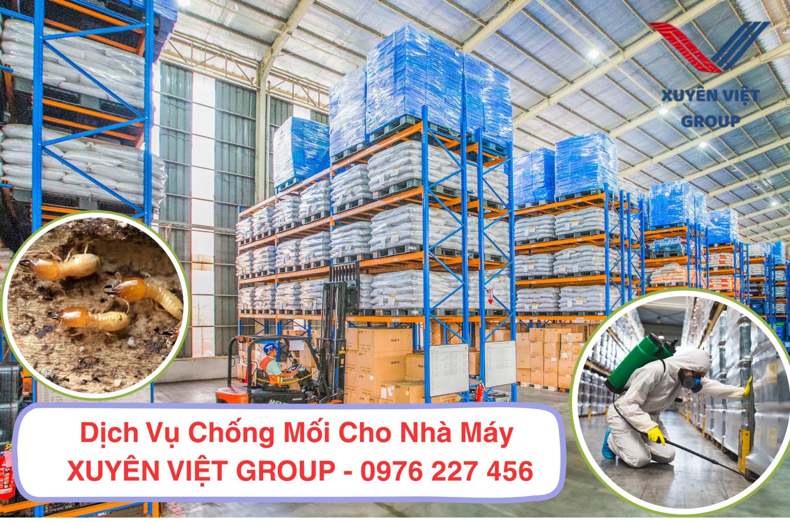 Dịch vụ chống mối cho nhà máy
