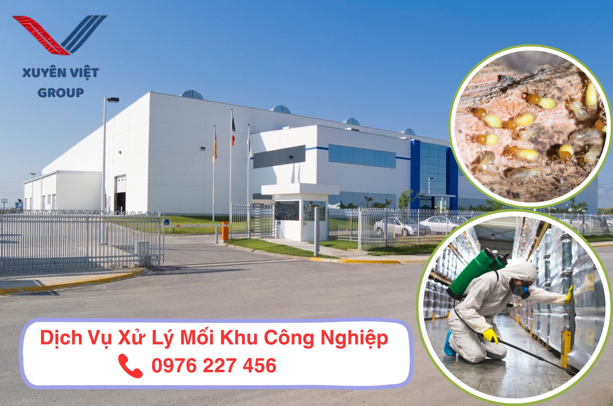 Xử lý mối khu công nghiệp