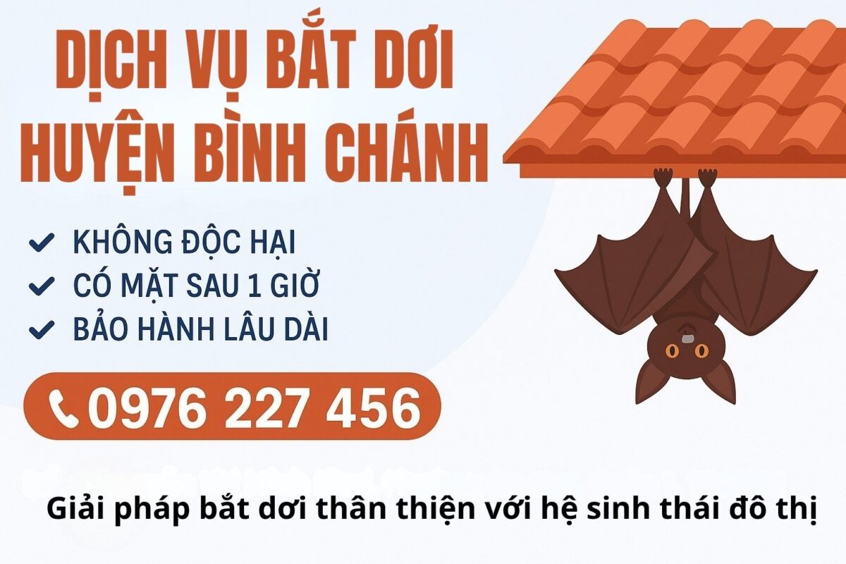 Dịch vụ bắt dơi tại Bình Chánh