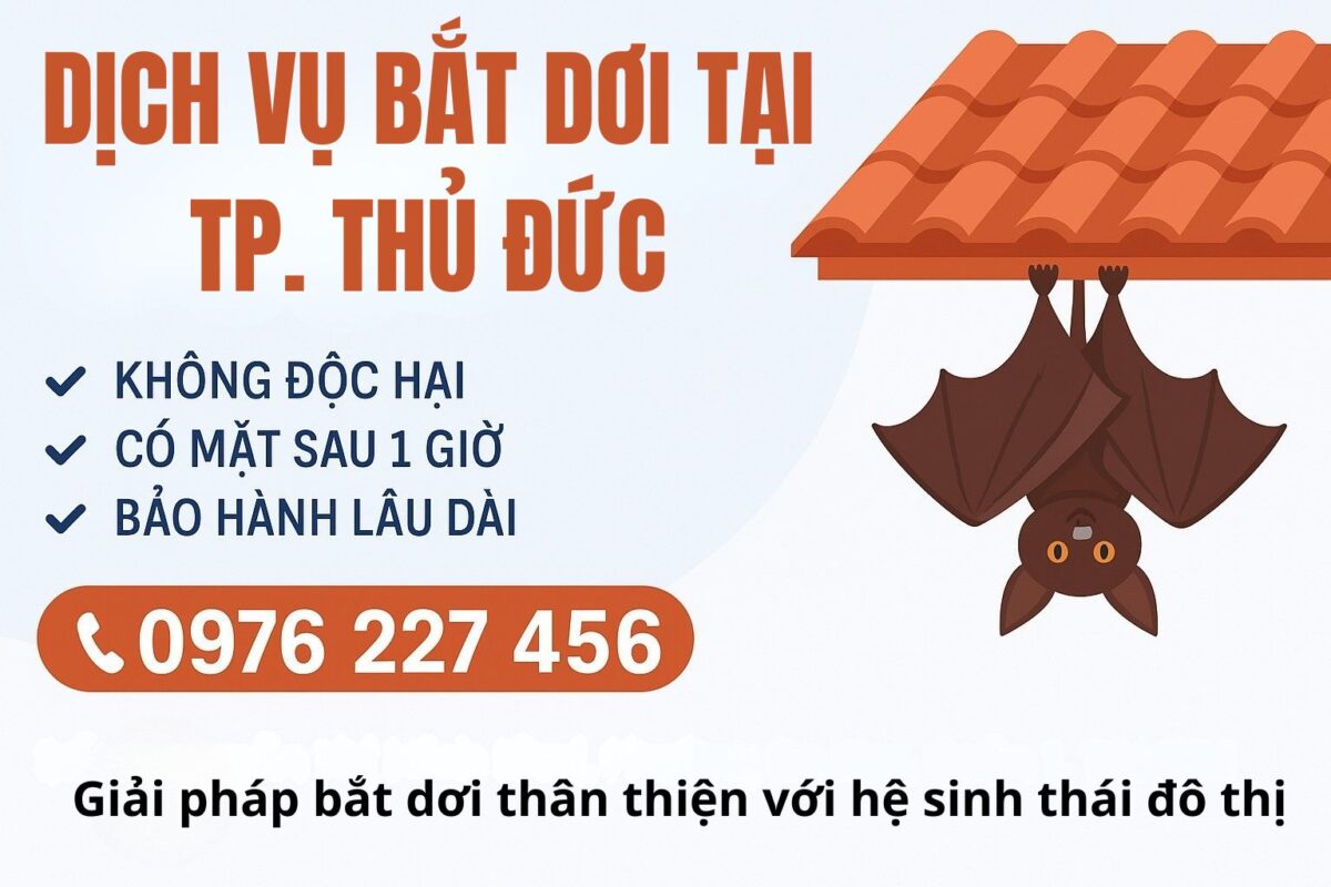 Dịch vụ bắt dơi tại Thủ Đức