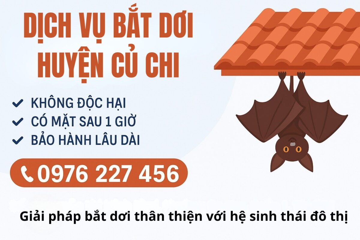 Dịch vụ bắt dơi tại Củ Chi