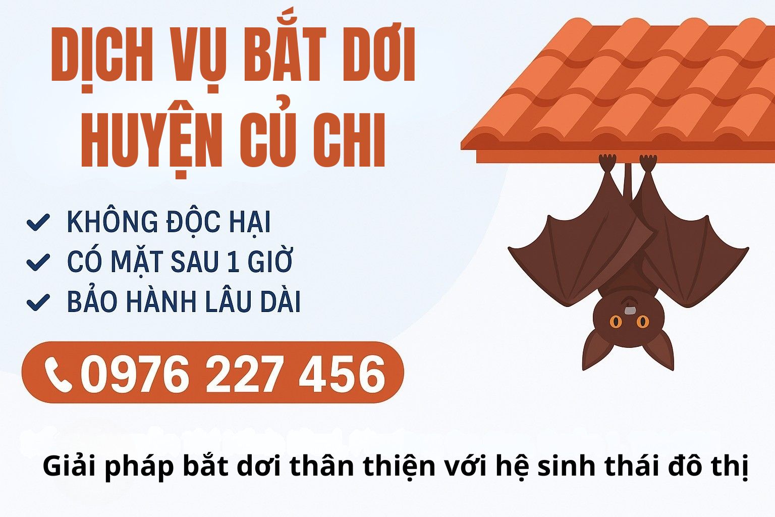 Dịch vụ bắt dơi tại Củ Chi