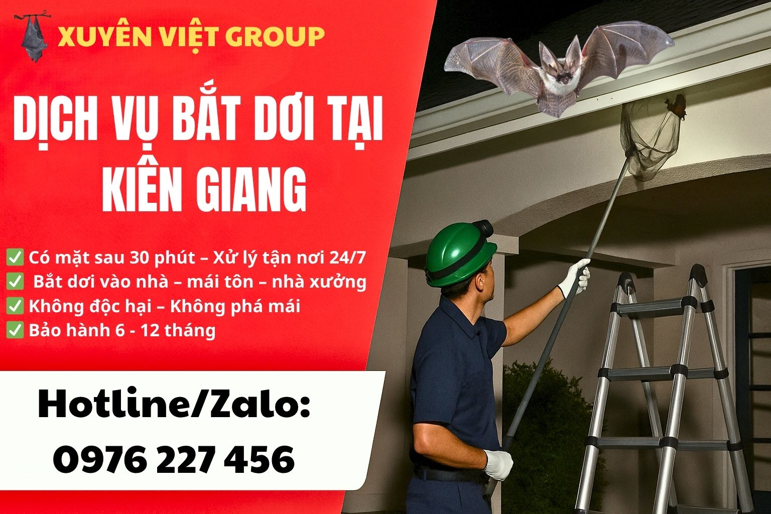 Dịch vụ bắt dơi tại Kiên Giang