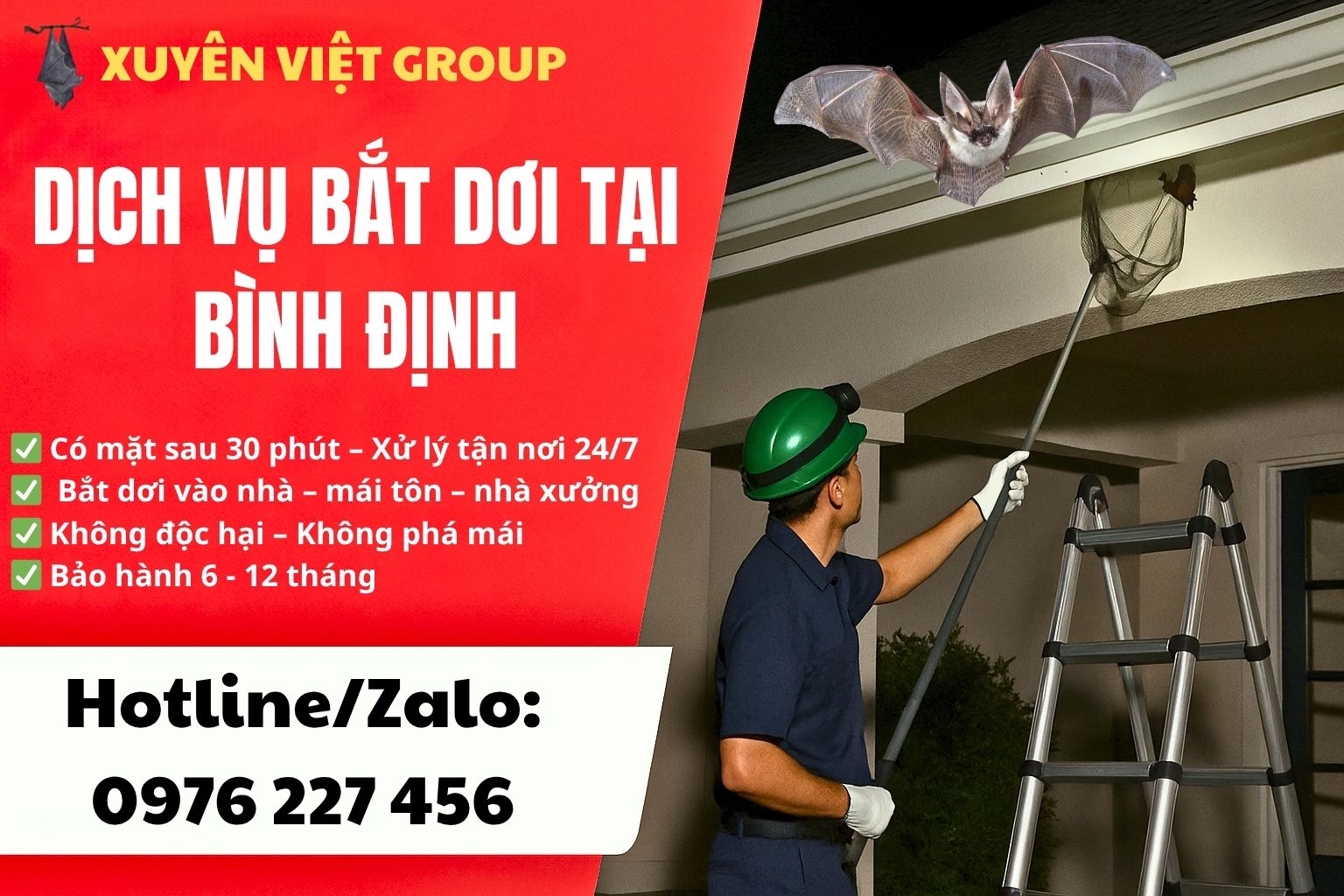 Dịch vụ bắt dơi tại Bình Định