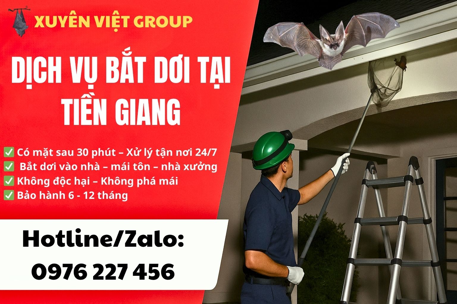 Dịch vụ bắt dơi tại Tiền Giang