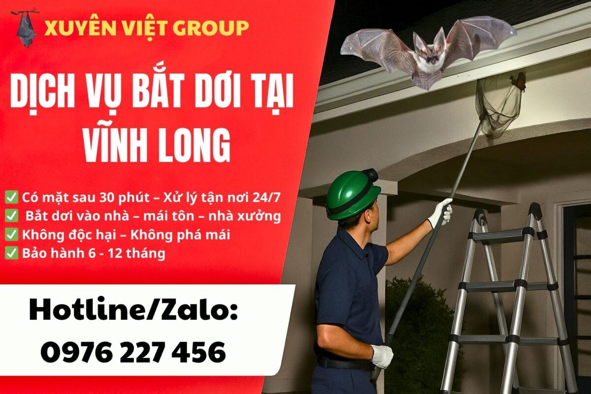 Dịch vụ bắt dơi tại Vĩnh Long