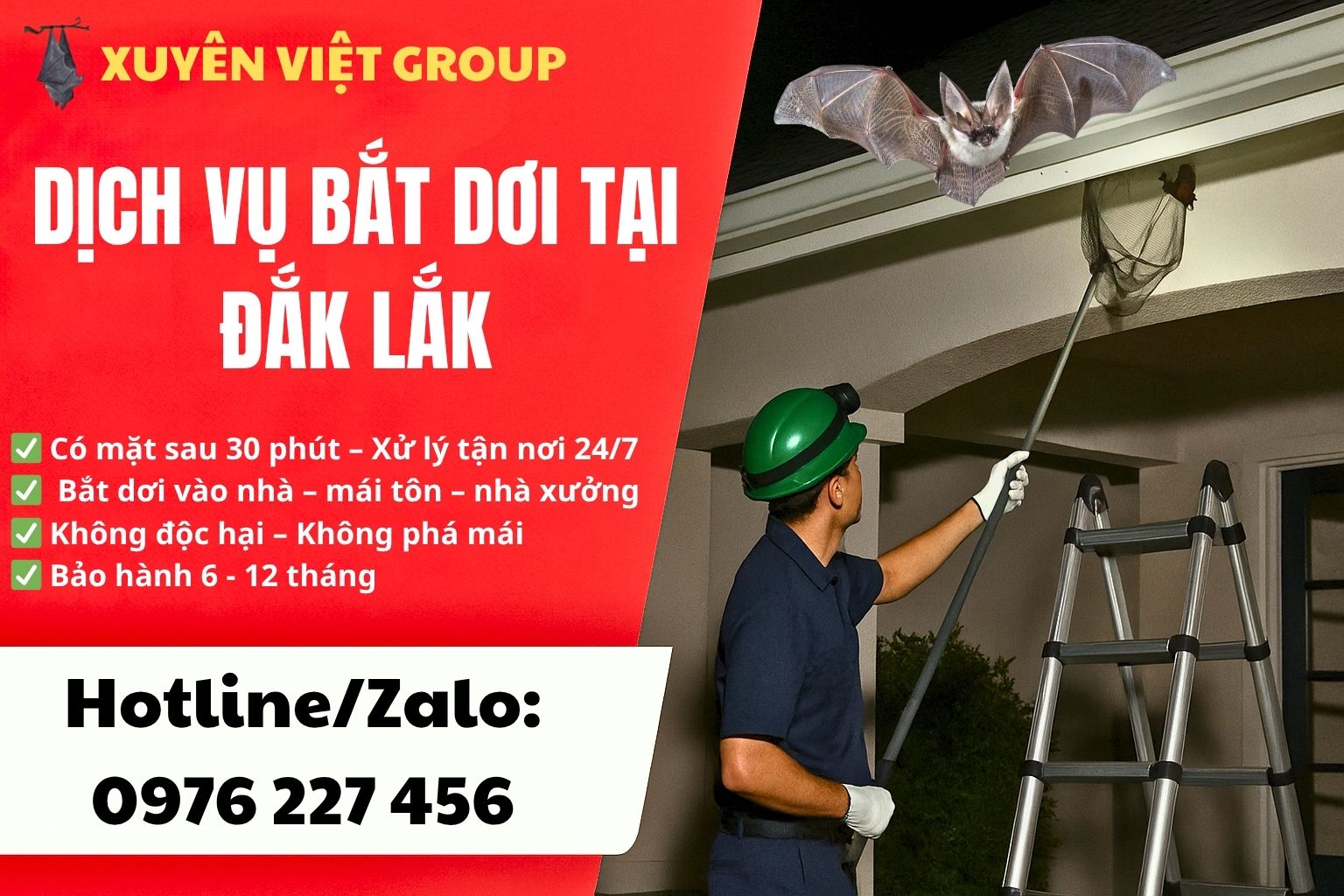 Dịch vụ bắt dơi tại Đắk Lắk