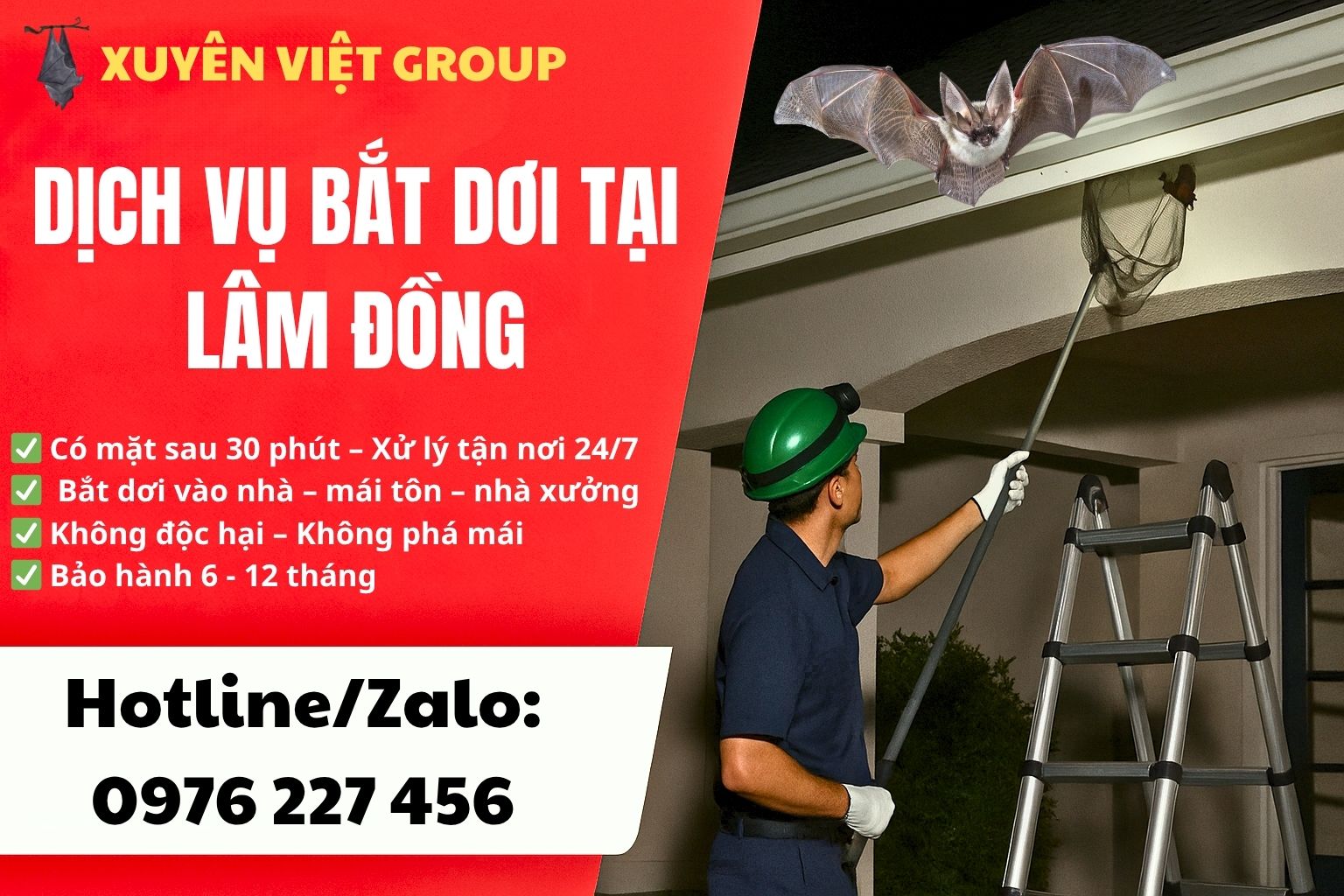 Dịch vụ bắt dơi tại Lâm Đồng
